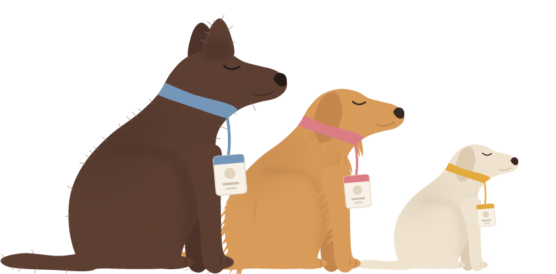 Illustration of three dogs sitting in a row, each wearing an ID badge on a lanyard